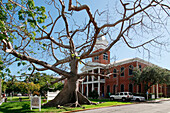 USA. Florida. Die Keys. Key West. Historisches und touristisches Zentrum. Rechts der Justizpalast. Auf der linken Seite ein Kapokbaum.