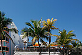 USA. Florida. Miami. Miami Strand. South Beach. Ocean Drive. Restaurantterrasse mit Touristen.