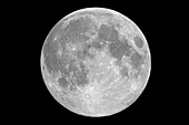 Seine et Marne. Vollmond. Supervollmond am 21. März 2019. Ein außergewöhnliches Bild, da zur gleichen Zeit die Internationale Raumstation an der Mondscheibe vorbeifliegt (oben links in der Scheibe).