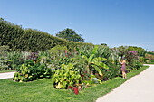 La France. Paris. 5. Bezirk. Der Garten der Pflanzen. Frau fotografiert die Pflanzen.