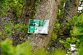 Frankreich. Seine und Marne. Boissy le Chatel. Wald. Wanderweg. Plakat, das darauf hinweist, dass Abfälle nicht in der Natur hinterlassen werden sollten.