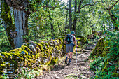 Spain,autonomous community of Aragon,Sierra y Cañones de Guara natural park,plateau of the Mascun Canyon,hiker on the way to the abandonned village of Otin