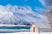 Norwegen,Stadt Tromso,Insel Senja,Ballesvika Fjord,verschneite Landschaft mit einem Schuppen
