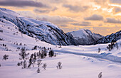 Norwegen,Stadt Tromso,Insel Senja,Schneelandschaft bei Sonnenaufgang
