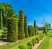 Frankreich,Perigord Noir,Dordogne,Jardins du Manoir d'Eyrignac (Historisches Monument),Basse Cour des topiaires (Baumschule)