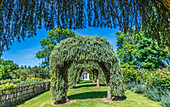 France,Perigord Noir,Dordogne,Jardins du Manoir d'Eyrignac (Historical Monument),Fleuriste garden