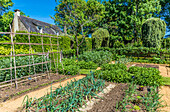 France,Perigord Noir,Dordogne,Jardins du Manoir d'Eyrignac (Historical Monument),vegetable garden