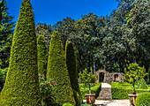 Frankreich,Perigord,Dordogne,Cadiot Gardens in Carlux (Gütesiegel „Bemerkenswerter Garten“),beschnittene Eiben