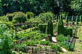 Frankreich,Perigord,Dordogne,Cadiot-Gärten in Carlux (Gütesiegel „Bemerkenswerter Garten“),blühende Iris und geschnittene Eiben