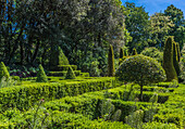France,Perigord,Dordogne,Cadiot Gardens in Carlux (Remarkable Garden certification label),topiaries