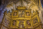 Spain,Rioja,Briones medieval village (Most beautiful village in Spain),church Nuestra Senora de Asumpcion (16th century),details of the main altarpiece (17th century) St James way