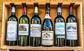 France,Gironde,Saint Emilion (UNESCO World Heritage Site),assortment of wine bottles
