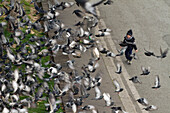 Frankreich,Paris,75,4.Arrondissement,Tauben fliegen über ein Kind