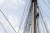 France,Nantes,44,man climbing on the rigging of the Hermione,frigate of La Fayette