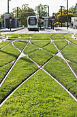 Frankreich,Nantes,44,Gras zwischen den Straßenbahnschienen an der Endstation des SNCF-Bahnhofs Reze-Pont-Rousseau