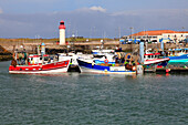 Frankreich,Nouvelle Aquitaine,Charente Maritime (17),Oleron island,Saint Pierre d'Oleron,la Cotiniere fishing harbour