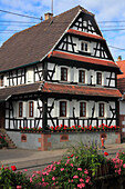 France,Grand-Est,Bas Rhin (67) Alsace,Hunspach
