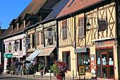 France,Centre Val de Loire,Cher department,Aubigny sur Nere,adrien Arnoux square