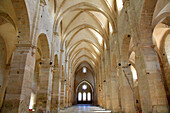 Frankreich,Centre Val de Loire,Cher department,Bruere Allichamps,Noirlac abbey,the church