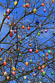 Germany,tree decorated with Easter eggs