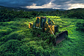 Bulldozer abandoned and attacked by vegetation.