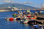 Insel Sao Miguel, Azoren, Portugal. Ponta Delgada. MV Artania, Phoenix Reisen