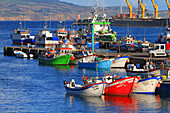 Insel Sao Miguel, Azoren, Portugal. Ponta Delgada