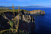 Insel Sao Miguel, Azoren, Portugal. Ponta do Ermo