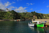 Insel Sao Miguel, Azoren, Portugal. Porto Formoso