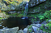 Insel Sao Miguel, Azoren, Portugal. Barranco da Rocha,Fenais da Ajuda