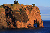 Insel Sao Miguel, Azoren, PortugalMorro das Capelas, Elefantenfelsen