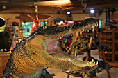 USA, Florida. Everglades. Alligator. Alligatorköpfe in einem Geschäft