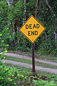 Usa,Florida. Everglades. Loop Road. Dead end
