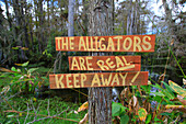 Usa,Florida. Everglades. Loop Road. Alligator. Danger