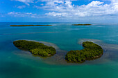 France,Guadeloupe. Sainte rose