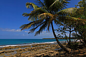 Frankreich,Französische Antillen,Guadeloupe. Strand von Clugny