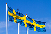 Europa,Skandinavien,Schweden,schwedische Flagge