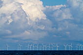 Europe,Scandinavia,Sweden. Skania.  Falsterbo peninsula. Off-shore wind turbines
