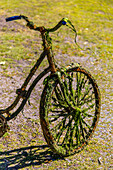 Bike that has been in the water,rusty and full of algae