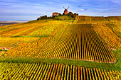 Frankreich,Grand-Est,Marne,VerzenayMont-Bœuf. Verzenay-Windmühle. Mumm Champagner. Reims montain