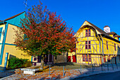 Frankreich,Grand Est,Aube,Troyes. Fassade eines Fachwerkhauses im Stadtzentrum