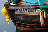 Frankreich, Manche, Cherbourg-en-Cotentin, das Schiff Jacque Louise