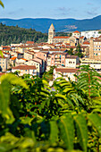 France,Auvergne-Rhone-Alpes,Ardeche,Annonay