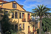 Chile,Valparaiso,house,palm tree,street scene,