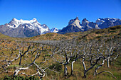 Chile,Magallanes,Torres del Paine,national park,Paine Grande,Cuernos del Paine,