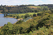 Chile,Seenplatte,Llanquihue See,Landschaft,Szenerie,