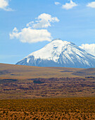 Chile,Antofagasta Region,Atacama Wüste,Cerro Colorado,Vulkan Colorados,