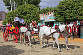 Spain,Andalusia,Seville,festival,horse carriage