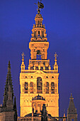 Spanien,Andalusien,Sevilla,Kathedrale,Giralda,Turm