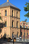 Spain,Andalusia,Seville,Palacio San Telmo,palace